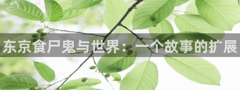 囧次元ios官网入口：东京食尸鬼与世界：一个故事的扩展